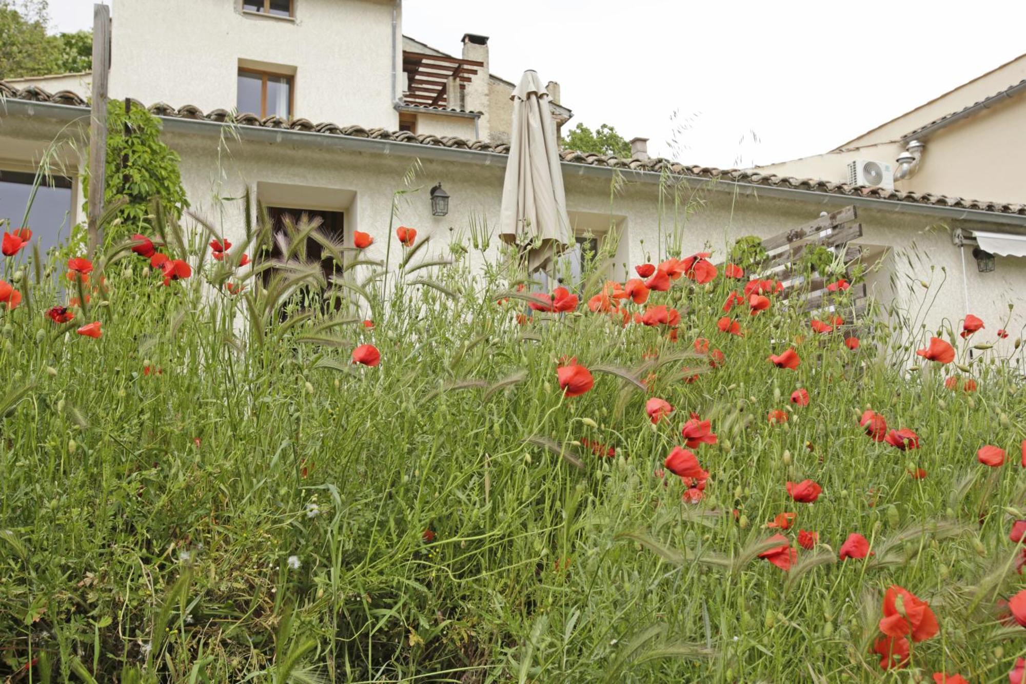 Les Anes De Forcalquier Hotel Værelse billede